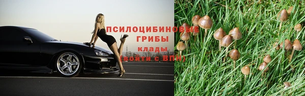 экстази Алексин